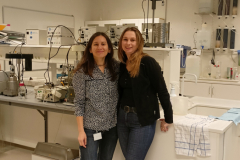 University-Laboratory-C