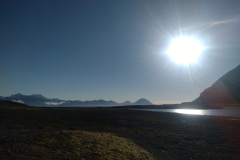 Fot.-Maurycy-Kot-2
